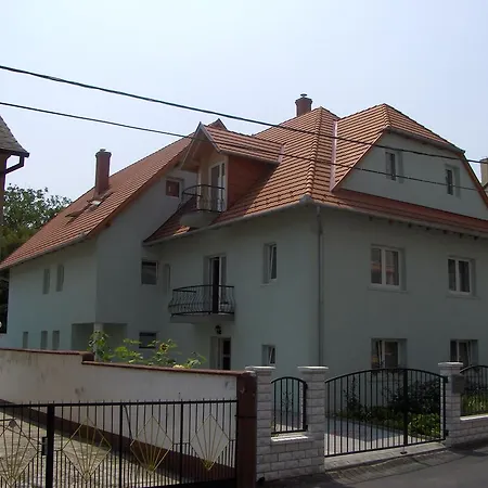 Zsanett